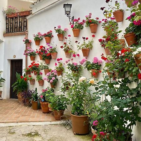 Amal Casa De Huespedes Apartment Kordoba Bagian luar foto