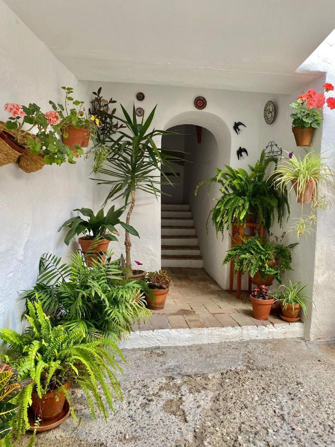 Amal Casa De Huespedes Apartment Kordoba Bagian luar foto