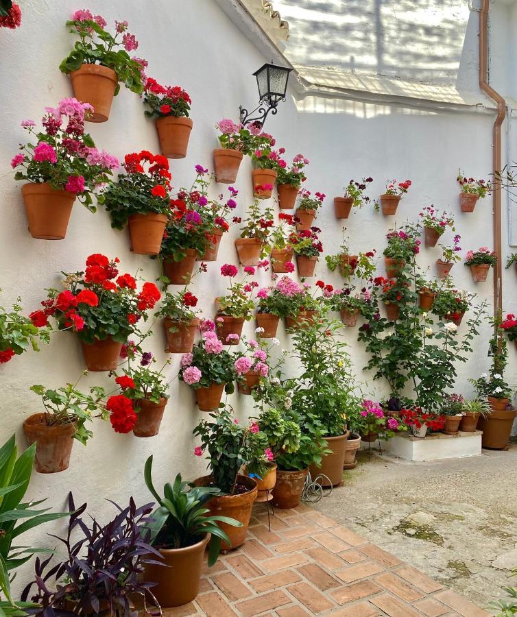 Amal Casa De Huespedes Apartment Kordoba Bagian luar foto